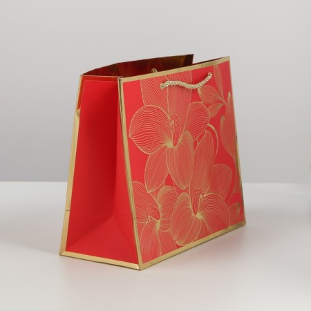 Gift Package Laminated, packaging, “With Best Wishes”, 27 x 23 x 12 cm-3
