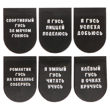 Magnetic bookmarks 6 pieces "Goose"-1