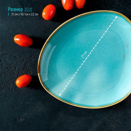 Porcelain dish for feeding Magistro "Cerera", 21 × 18.7 cm, blue color-2