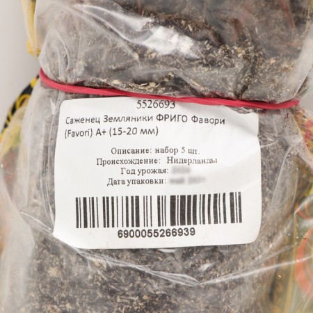 Frigoro Frigori Strawberries Frigori (Favori) a+ (15-20 mm), 5 pcs-3
