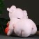 Pigger "Pig with Money" 20x33x29cm
