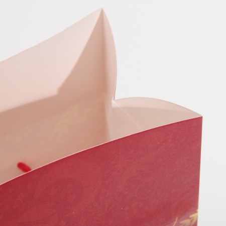 Gold Package Corps, 23 x 18 x 11 cm, New Year-6