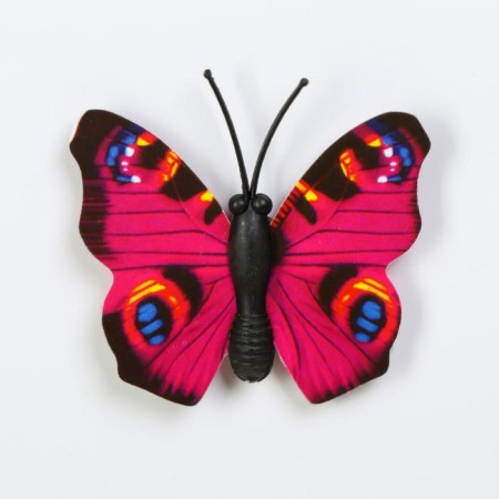Magnet "BOABOW MINITURAR" 3 × 4 cm-2