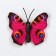 Magnet "BOABOW MINITURAR" 3 × 4 cm