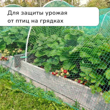 Garden grid, soft, 10 × 2 m, cell 8 × 8 mm, from birds, Greengo-5