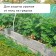 Garden grid, soft, 10 × 2 m, cell 8 × 8 mm, from birds, Greengo