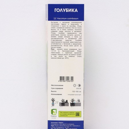 Blueberries are tall "river", 1 pc, tube, spring 2025-1