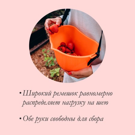 Berry collection container, 3 l, orange-2