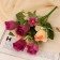 Bouquet "Rosa Linda Assorted" 4x27 cm, mix