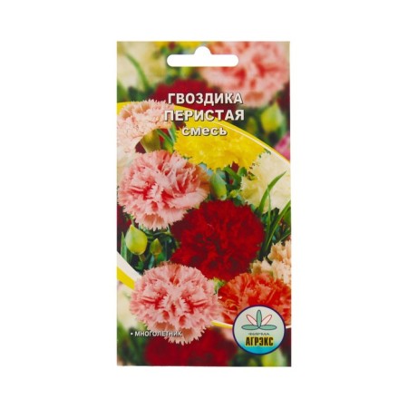 Flowers of cloves Carbon tape mixture, 0.1 g