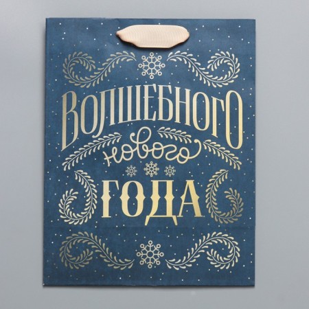Craft vertical "Magic" package, MS 18 x 23 x 10 cm, New Year-4