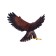 Figure Konik "Golden Eagle"