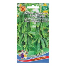 Seeds of cucumber 