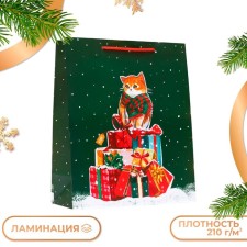 Gift package 