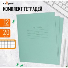 A set of notebooks of 20 pieces, 12 sheets in the cage of the Green Cover PDA, OFSET block, whiteness 92%