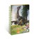 Coloring Dinosart
