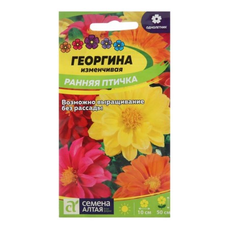 Georgin's flowers "Early Bird", sed. ALT, c/p, 0.3 g