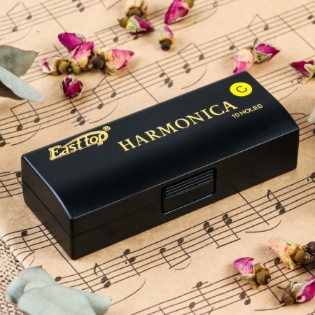 Music Life T10-3 Harly Diatonic, 10 holes, with a case-3