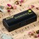 Music Life T10-3 Harly Diatonic, 10 holes, with a case