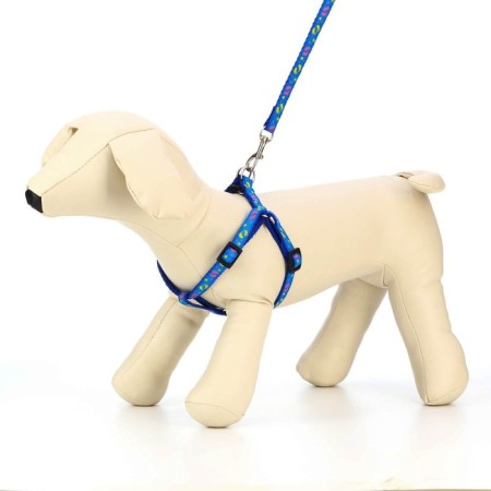 Set "Color Transes", leash 120 x 1 cm, fire 23-35 cm, blue-1