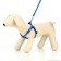Set "Color Transes", leash 120 x 1 cm, fire 23-35 cm, blue