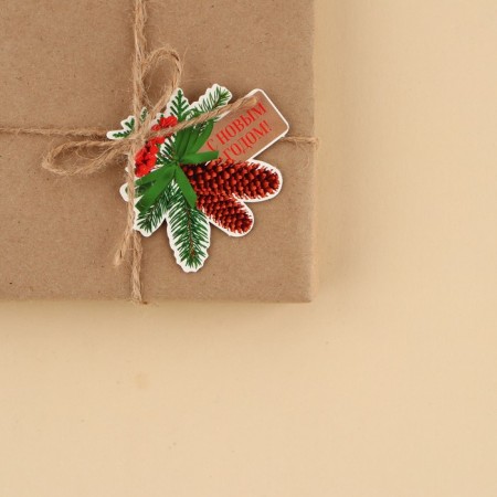 Schildik decorative for the gift "Schilds with Schild", 7 x 6.3 cm, New Year