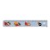 Penal case with a ruler, 64 x 210 x 25 mm, plastic, "animals"