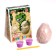 Set for excavations "Rear" Dinosaurus egg