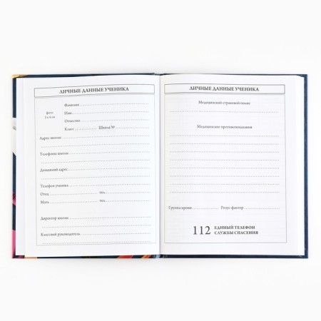 School diary 5-11 grade, in a solid cover, 48 liters. "School accessories"-2