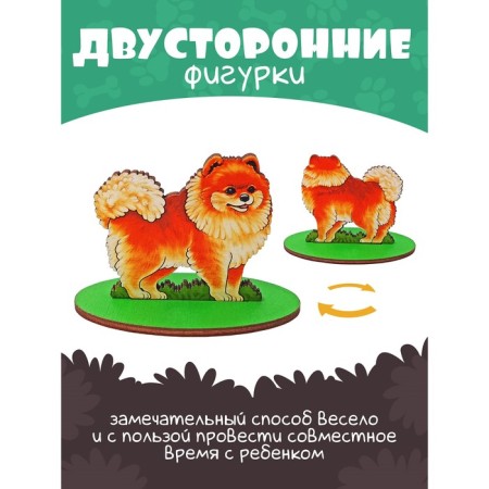 Game set in the box "Dogs decorative"-3
