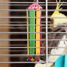 Toy for birds 