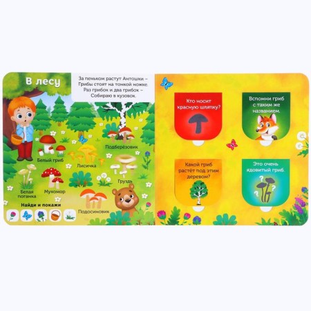 Cardboard book with windows "In the forest, garden and garden", 10 p.-1