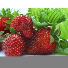 Strawberry Garden Crown, P9 Pot, 1 pc, summer 2024