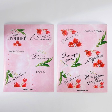 Gift set "March 8" A6 notebook, icon, stickers and pencils 2 pcs-6