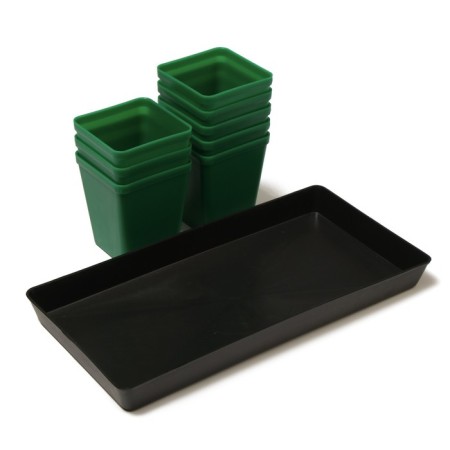 Set for seedlings: glasses of 600 ml (8 pcs), pan 36 × 18 cm, color mix, Greengo-10