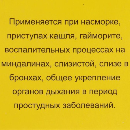 Monastic ointment "Bisoryuk. Free breathing ", 28 ml-3