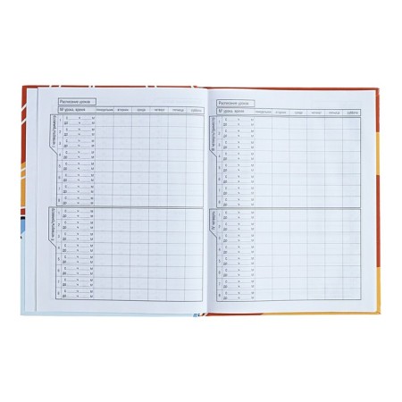Diary for grades 1-11, solid cover "Vlad A4", 40 sheets, glossy lamination-5