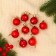 Set of balls plastic D-3 cm, 9 pcs "Samarina" red