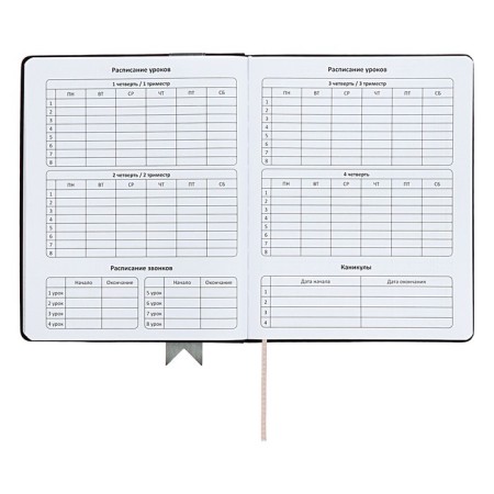 Universal diary for grades 1-11 Lenta, solid cover of artificial leather, applique, silkography, liesse, 48 sheets, black-5