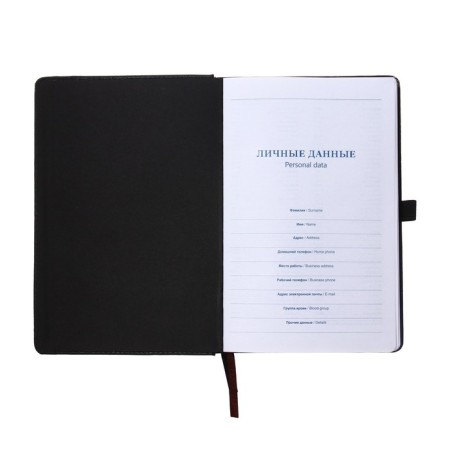 The diary is low, PVC, A5, 140 sheets in a cage, on an elastic band, with a handle, in a gift box, mix-4