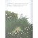 A big journey of a little bird. Hegarty P., von Donnik S.