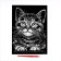 Engraving "kitten" with a metallic effect "silver" A4