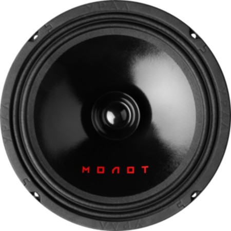 Autoacoustics Ural AC-M200 Molot New 20 cm/ broadband; 100W; coaxial