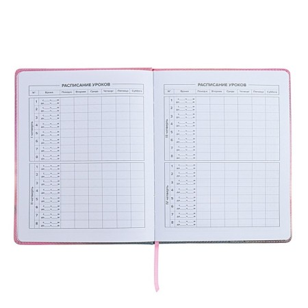 Universal Diary Grade 1-11, 48 sheets "Gray fluff", solid cover of artificial leather, lies, universal cheat sheet, block 80 g/m2-5