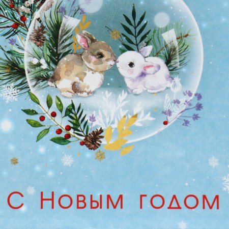 Package laminated vertical "tenderness", 12 x 15 x 5.5 cm, new year-4