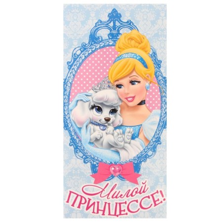 Envelopes for money, 16.5 x 8 cm "Blue Princess", princesses: Cinderella-3