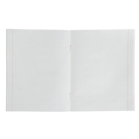Notebook of 48 sheets in the Calligrata "Fige-1" cage, cover coated cardboard, offset unit, mix-1
