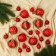 Set of balls of plastic D-2.5 and 5.5 cm, 33 pcs "Round" red