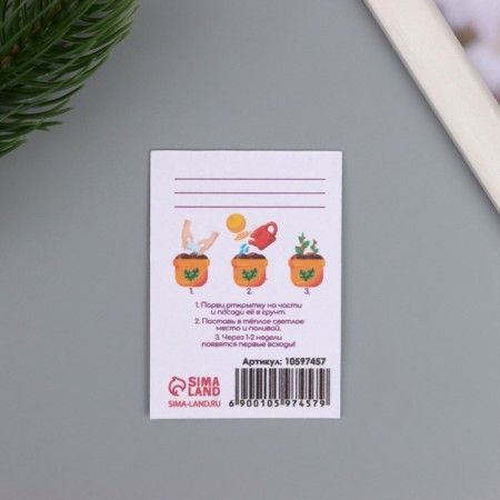 A postcard with the seeds "grow itself" "Dreams come true" 5*7cm-2