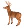 Figure Konik "White -tailed deer, male"